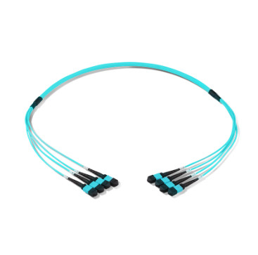 MPO Patch Cable Data Center 8 / 12 / 24 Core LSZH / PVC / OFNP