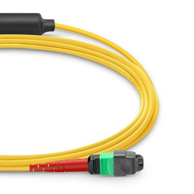 MTP Breakout Cable with 0.35dB Low IL and G.657.A1 Bend Insensitive Fiber for OFNP Fire Safety-Rated Applications